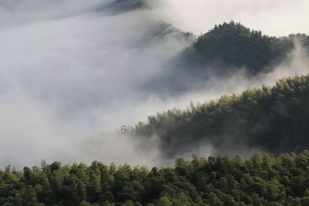 男生占有欲强说明什么?红迪网-分享交流有趣的话题